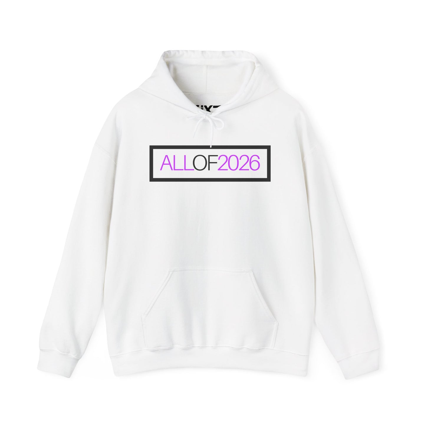 "ALL OF 2026" Hoodie — Anti-Billionaire Gear