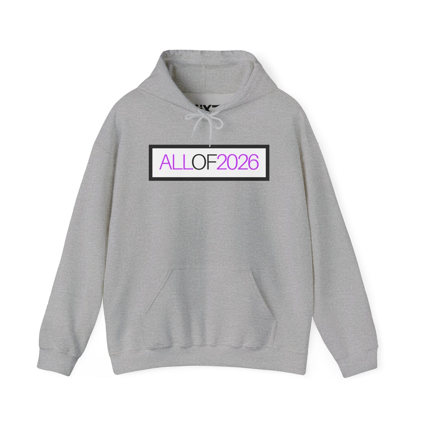 "ALL OF 2026" Hoodie — Anti-Billionaire Gear