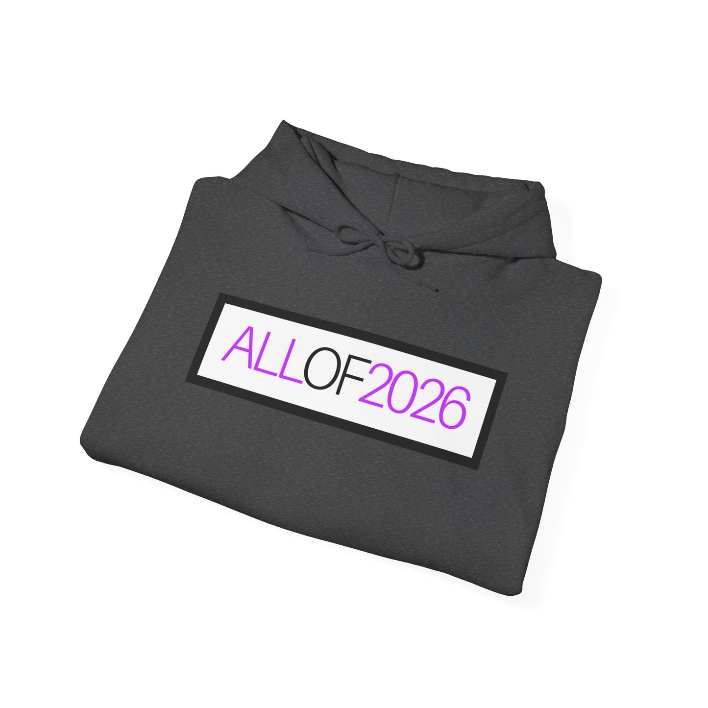 "ALL OF 2026" Hoodie — Anti-Billionaire Gear