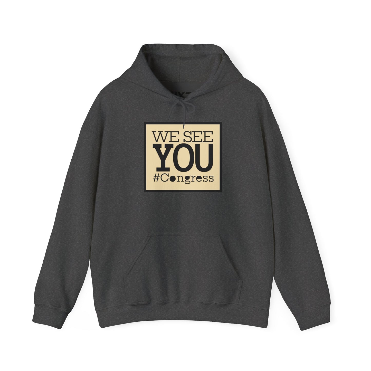 "We See You, Congress" Hoodie — Political Statement Gear