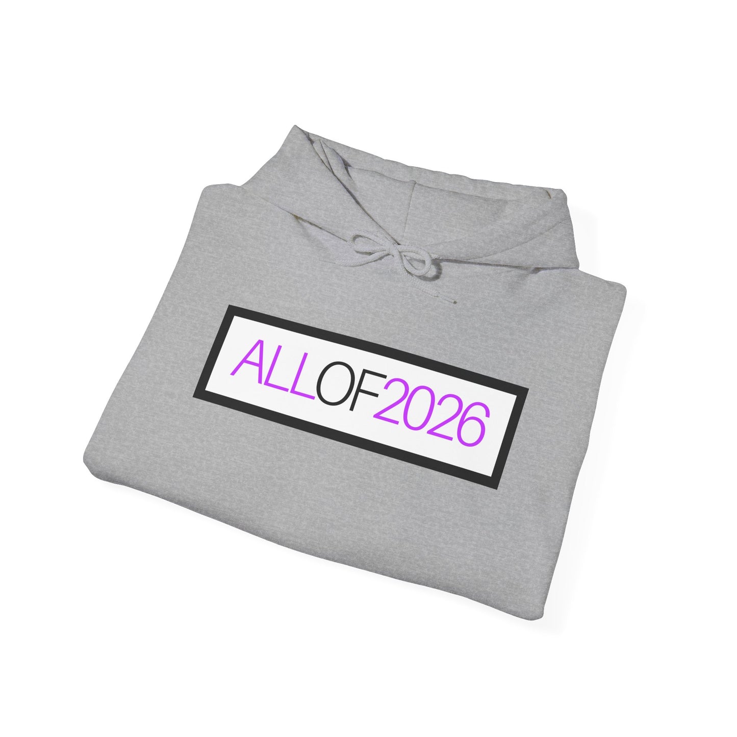"ALL OF 2026" Hoodie — Anti-Billionaire Gear